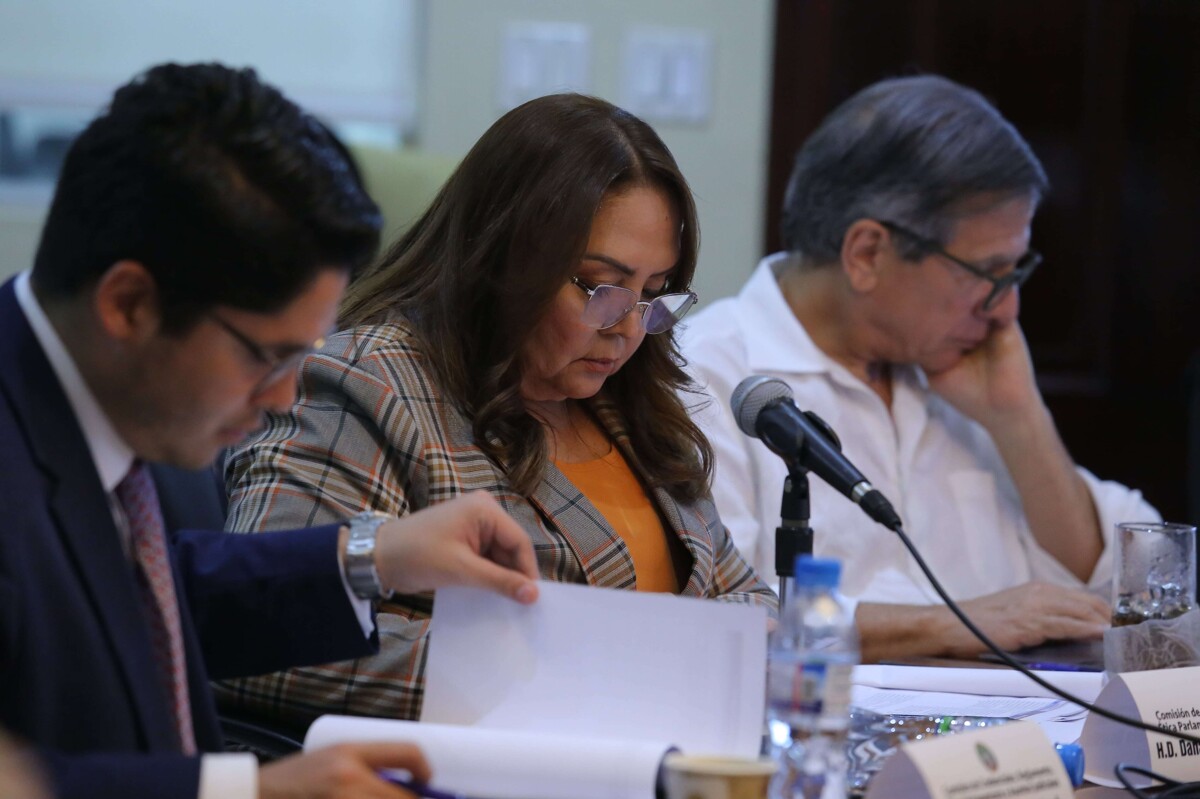 Venezuela's National Assembly Approves Internal Reforms